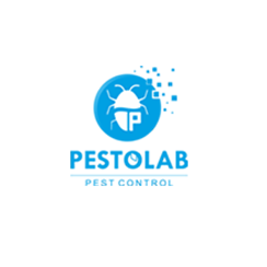 Logo Designing Service Providers